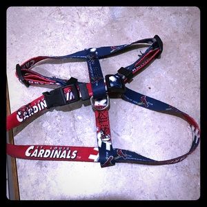 BUNDLE DEAL! St. Louis Cards Harness and sweaters